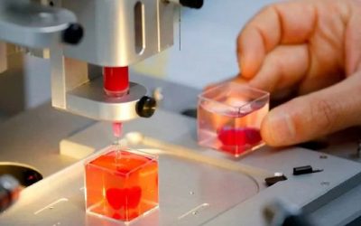 Stampato il primo mini-cuore umano in 3D